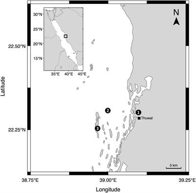 Unraveling the Seasonality of UV Exposure in Reef Waters of a Rapidly Warming (Sub-)tropical Sea